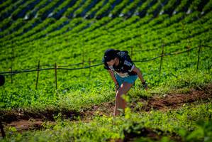 BIB: 
                            <button type="button" onclick="openModal(19161286)" class="btn btn-primary btn-sm float-right btn-popup" data-toggle="modal" data-target=".modal-high-quality">
                        <i class="fas fa-shopping-cart"></i> Add to Cart
                    </button>
                                            <button type="button" onclick="isThisMe(19161286, true)" class="btn btn-success btn-sm float-right btn-popup btn-isme hidden" data-toggle="tooltip" data-placement="bottom" title="นี่คือรูปของคุณใช่ไหม คลิกที่นี่เพื่อเอาเข้าอัลบั้ม">
                        <i class="fas fa-plus"></i> Add to album
                    </button>
                    <button type="button" onclick="isThisMe(19161286, false)" class="btn btn-warning btn-sm float-right btn-popup btn-isnotme hidden">
                        <i class="fas fa-ban"></i> Remove from album
                    </button>